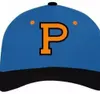 Palmer Pioneers