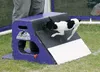 Peanut, a Jack Russell Terrier and the smallest flyball competitor in Alaska, presses the pad on a ball box. Peanut is a height dog, which means that as the smallest dog, the height of the hu