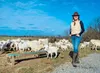Valerie Samutin and some of her 250 breeding ewe on her family’s Freedom Run Farm.