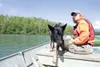 Search and Rescue dog trainer Donna Cramer watches as Kip, a
3-year-old German shepherd, moves from side to side searching for a
scent during a training exercise Saturday on Finger Lake. (ROB