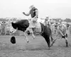 Scooter Hackett rides the bull during the Alaska State Fair
Rodeo last month. Hackett tied with brother Kenny for first place
in the bull riding competition and also took home the All-Around
