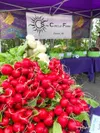 Radishes and snow apple turnips are among the local produce now available now at Valley farmers markets. Photo courtesy of Matanuska Community Farmers Market