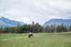 VICKI NAEGELE/For the Frontiersman On a sunny summer day in a
previous year, Todd Pettit bales hay on Pitchfork Ranch on Lazy
Mountain. This year, more than half of area hay is still waiting 
