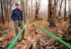 Joseph Burkett surrounded by green plastic tubing which transports the sap.