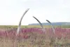 Cape Krusenstern National Monument, ANILCA 25th anniversary
display, by Greg Gusse. Gregory Gusse