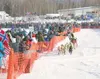 ROBERT DeBERRY/Frontiersman file photo Thousands of Iditraod
Trail Sled Dog Race fans gather on Willow lake to watch the mushers
begin their trek to Nome. Here, Perry Solmonson slaps high fiv