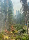 Mat-Su Firefighter David Hedgepeth during Initial Attack of the Montana Creek Fire #312.  Kevin Lankford/DOF