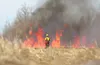 A state Division of Forestry firefighter stands watch over a wall of flames during a controlled burn. Fire season in the Mat-Su Borough usually is April 1 through Aug. 31. ROBERT DeBERRY/Fron