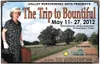 Arts -The Trip To Bountiful Poster.jpg Marketing Director