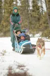 ROBERT DeBERRY/Frontiersman Mari Damato and her son Ren, 2, sit
bundled up as Palmer musher Linda Bullard drives her team along the
Aurora Dog Mushing trail near Big Lake during the Mat-Su Mi