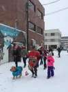 The famous Alascattalo parade.