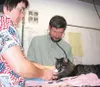 Dr. John Tuomi of Palmer Veterinary Clinic listens to Tabitha
the cat's heartbeat while vet tech Michieal Salmon keeps an oxygen
tube in place. STEVE KADEL/Frontiersman.