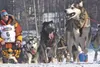 Mitch Seavey, seen here in the 2014 Iditarod, was the first musher to reach Huslia in the 2017 Iditarod. Frontiersman file photo
