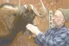 GREG JOHNSON/Frontiersman Jim Kedrowski nails the hide of a cape
buffalo to a form in his Wasilla studio on Monday.