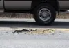 A pothole in the middle of Engstrom Road as it appeared Monday. At one point this spring, the damaged surface projected almost a foot above the surrounding road. Officials say a fast thaw thi