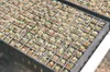 TODD L. DISHER/Frontiersman Seedlings grow in the 330-cell trays
inside greenhouses for five weeks before being transplanted to the
fields. This method, called the Speedling system, gives Ala