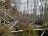 Permafrost thaw is now disrupting Interior Alaska boreal forest near Fairbanks Courtesy of UAF