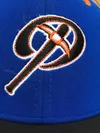 Palmer Pioneers