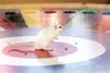 ROBERT DeBERRY/Frontiersman One of the Palmer Elks Club Rat Race
‘rats’ (technically, they’re gerbils) surveys the situation before
choosing a colored hole to climb into Saturday at the Alask