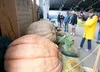 Fairgoers check out the giant pumpkins inside the Farm Exhibits building at the 2013 Alaska State Fair. ROBERT DeBERRY/Frontiersman.com