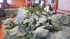 The annual Alaska State Master Gardener’s Conference, held this year in Palmer, was an opportunity for local gardeners and vendors to collaborate and learn from shared experiences. JACOB MANN