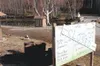 After five decades, Kepler Park closes