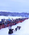 Twitter sensation Blair Braverman follows her team down the trail during the Iditarod Restart March 3 in Willow. Braverman said her dogs like Leonard Cohen. Tim Rockey/Frontiersman