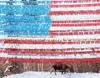 PATRIOTIC MOOSE