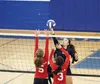 Palmer senior Leiah Reichel knocks the ball over a pair of Wasilla blockers during a 3-2 win over the Warriors during the 2014 season. Reichel will play for York College in Nebraska next year