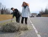 Kathy Wagner, left, and Stephanie Flanders help clean the Parks
Highway on Wednesday after 1,400 pounds of hay spilled from a
pickup truck driven by Mike Peterson. Photo by STEVE
KADEL/Fronti