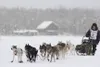 Colby Spears follows his team to the finish line in the 2017 Junior Iditarod. Introducted to the sport less than six months before, Spears finished as the runner-up in the race in February. C