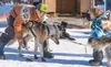 Rohn Buser, seen her at the Su Dog 300 in February, while putting boots on his team, answers questions from his 3-year-old son, Kaladin. Buser will be the second musher to leave the start of 