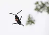 A 1st Battalion, 207th Aviation Regiment CH-47 Chinook helicopter with a water bucket system attached flies overhead during the unit's Red Card certification on Joint Base Elmendorf-Richardso