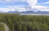Great Land Trust is on a final fundraising push to complete a $1.4 million deal to purchase property that would become Settlers Bay Coastal Park, land that is a mixture of salmon streams, woo
