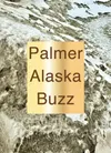 Palmer Buzz