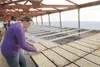 In a greenhouse at Palmer Produce in the Butte, Cassie
Siira-Barnum places a row marker in a flat seeded with cabbage,
while members of Anchorage School District’s nutrition services
tour the