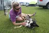 Maija Doggett rubs Buddy’s belly. Jacob Mann/Frontiersman