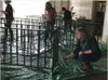 Teen volunteers paint pig walkers at the livestock pavilion on the state fairgrounds Monday. The walkers are used to move pigs and hogs safely to stalls and shows. BARBARA HUNT/For the Fronti