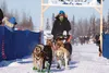 Robert Redington enters the starting chute of the Knik 200 Joe Redington Sr. Memorial Sled Dog Race Saturday from Deshka Landing out to Yentna Station. Redington took third overall, winning a