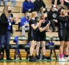 The Palmer Moose girls are in the state tourney for the first time since 2012. Courtesy of Bruce Eggleston/matussports.net
