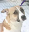 Who can resist that face?