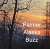 Palmer Buzz
