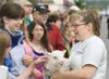 Spectators along the Colony Days Parade route get a chance to
pet a lamb as the 4H Club makes its way down Alaska Street Saturday
afternoon. (ROBERT DeBERRY/Frontiersman)