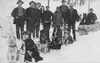 yukon-sled-dogs.jpg