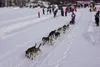 The 2023 race trail is 150 miles long. Mushers will depart from Knik Lake at 10 a.m. They will make their way through Eagle Quest, and continue to the halfway point at Yentna Station Roadhous