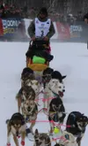 Rookie Iditarod musher Connor McMahon (bib #3) scratched at on March 10, at the Galena checkpoint in the best interest of his team. He had 11 dogs in harness when he arrived in Galena, all in