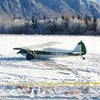 Joshua D. Morris, 37, was at the controls of this Piper PA-12 about 9 p.m., Jan. 31 when it began to lose power. He made a forced landing — snagging power lines in the process — near the Palm