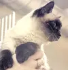 Look at that!