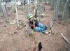 Sam Gall, 4, leaves the zipline platform on his way down a 230-foot cable from a platform attached to the tree house at the family’s Valley home. ROBERT DeBERRY/Frontiersman.com