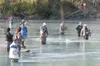 A group fishing along the bank at Eklutna Tailrace watch as one of the anglers brings in a king dalmon. The Alaska Department of Fish and Game Division of Sport Fish released a comprehensive 